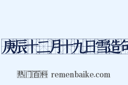 庚辰十二月十九日雪造句是什么意思的图片